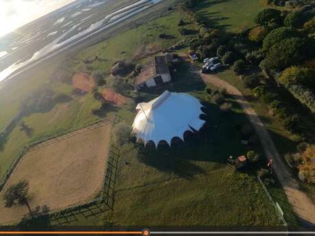 Respire avec les chevaux - Immersion nature et balade avec les chevaux