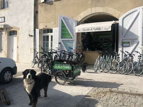 Les Vélos de Mathilde