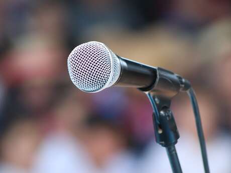 Conférence - La liberté d’expression : un droit à géométrie variable