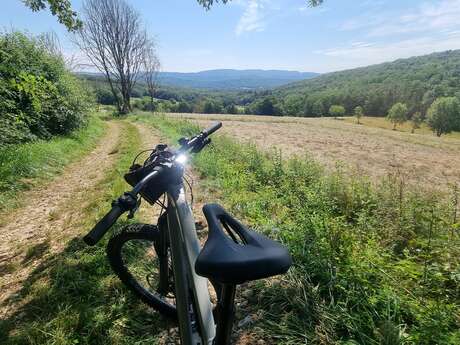 Circuit VTT n°22 (bleu) - Forêt de Bohas et du Vieudrin