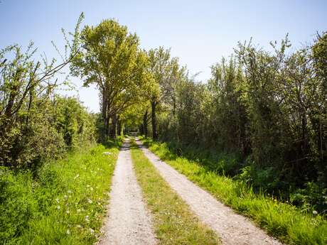 La boucle champêtre liniéroise