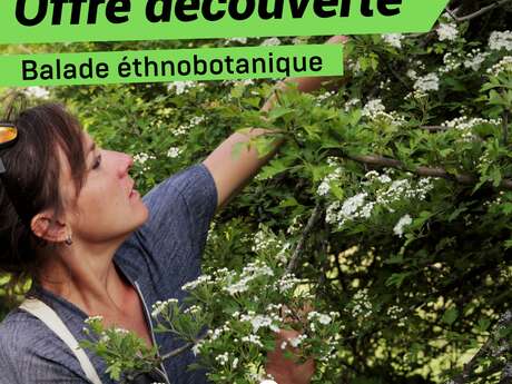 Offre découverte : Balade ethnobotanique dans le Valgaudemar