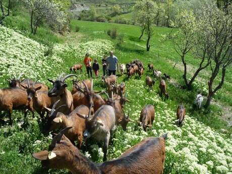 Ferme des Jassines