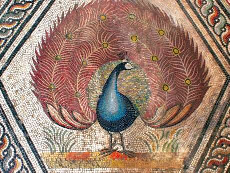 Vaison Monumental: "Apprentice Mosaic Artists" Workshop