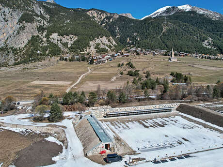 Ski-roues & biathlon : initiation ou perfectionnement