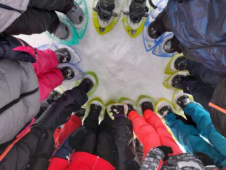 De kleine sneeuwschoenwandelaars
