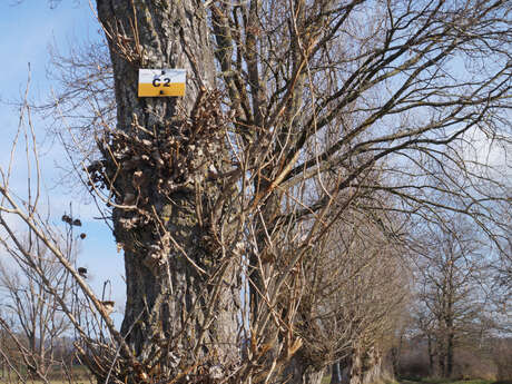 Sentier  Les étangs