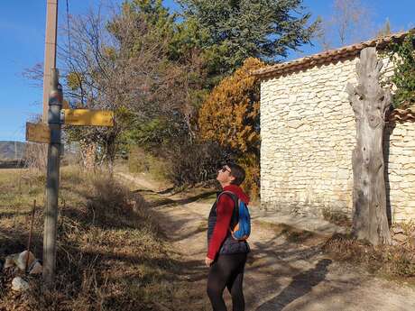 ST-TRINIT – Les chênes séculaires des bois de la Caviote