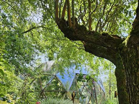 Le Jardin des Fontaines Pétrifiantes