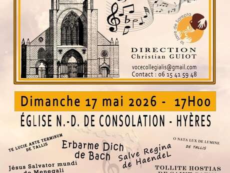 Concert - Voce Collegialis