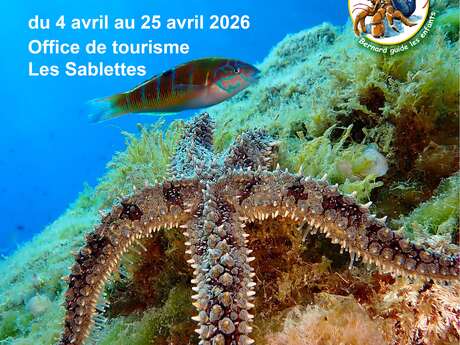 Exhibition - "La Seyne sous mer! The richness and beauty of La Seyne sur Mer's shallow waters".