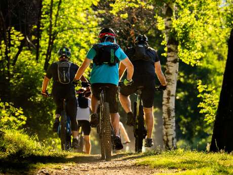 N°8 - Des Haras aux étangs - Espace VTT Montbrison - Monts du Forez