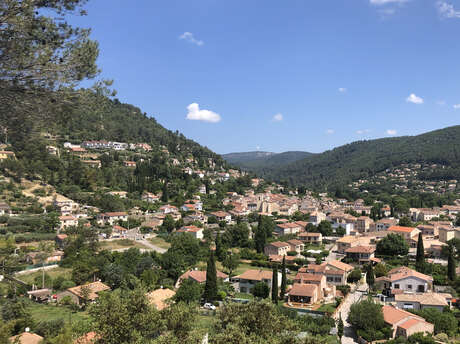 Safari photo : objectif Solliès-Toucas