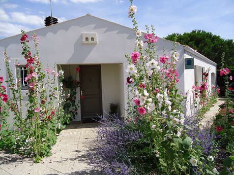 Chaussumier Annie - Kareta Kareta