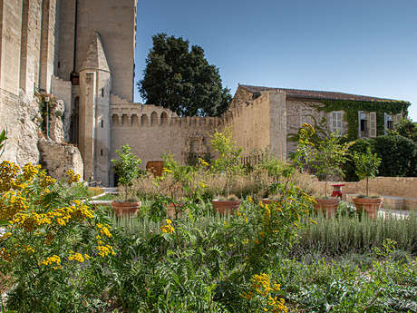 Sous la Roma - Les jardins du Palais des Papes vous invitent à célébrer le printemps !