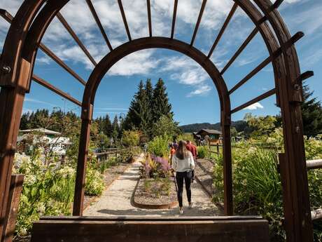 Pere Delavay's botanical Garden