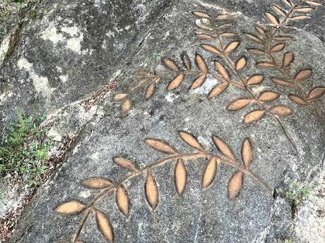 Atelier de patrimoine : Gravure sur safre au cœur du jardin de Marcel