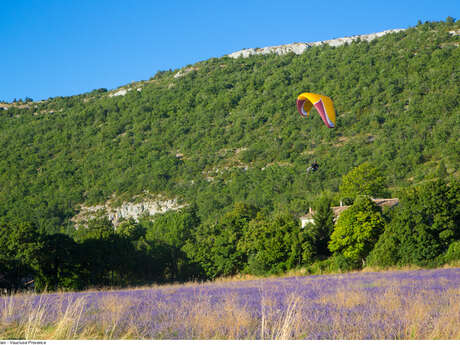 Voler au Pays des Monts d'Albion