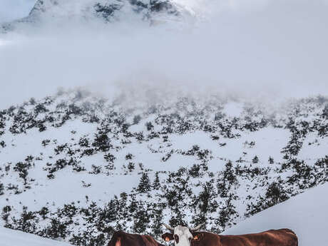 Veillée d'hiver : l'agriculture