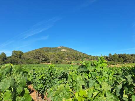 Domaine de Favanquet