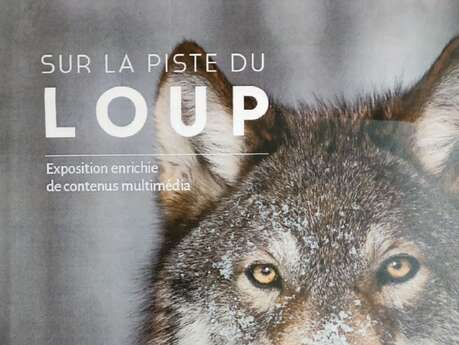 Exposition "Sur la piste du loup"