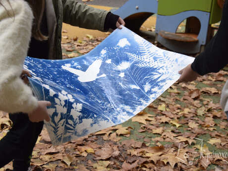 Atelier Cyanotype