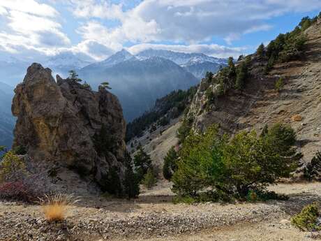 La boucle de Roche Moutte par la bergerie
