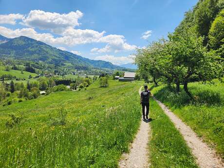Hiking trail - The Pesse's Loop