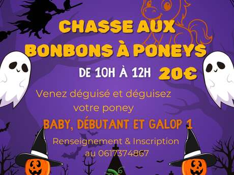 Chasse aux bonbons en poney Chasse aux bonbons en poney