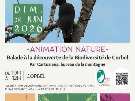Balade à la découverte de la biodiversité de Corbel