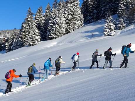 Bureau Montagne Artitude