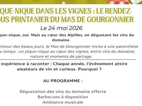 Picnic in the vineyards at Mas de Gourgonnier