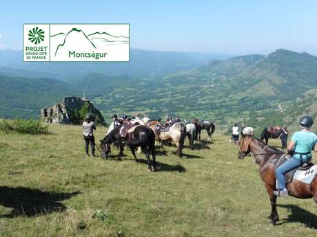 Excursion à cheval au coeur de la forêt