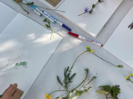 Atelier : Mon herbier du moyen âge