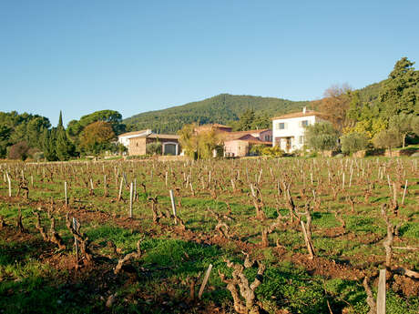 Domaine de Grand Pré