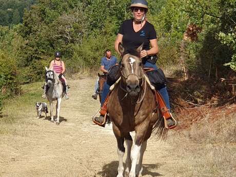 Rallye Quiz humoristique -  Equestre pédestre VTT