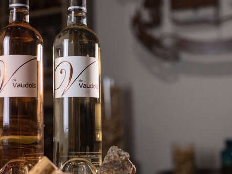 Nouveau millésime spécial Rosé