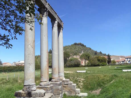 2000 ans à Riez, des romains au lavandin