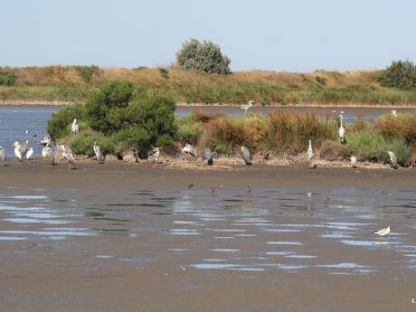 Journées du Patrimoine au domaine de la Palissade