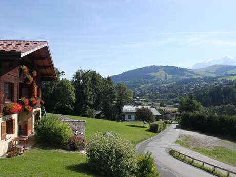 Mont d'Arbois