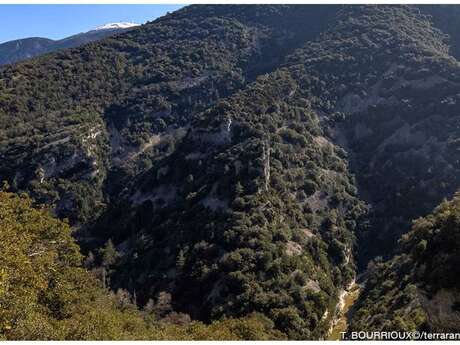 The St-Léger-du-Ventoux 'Tour du Toulourenc' hike by Terra Rando