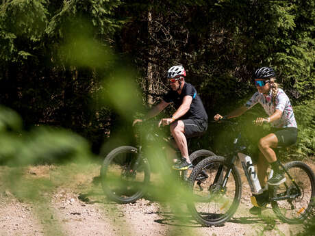 N°21 - Pierre du Diable