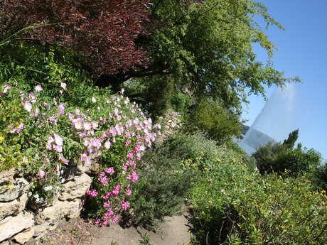 Mediterranean Garden