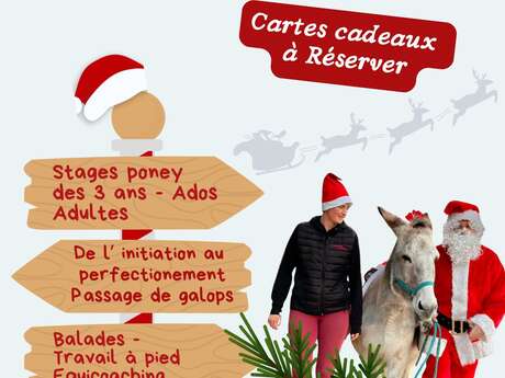 Vacances de Noël à poney
