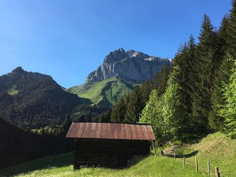 Electric mountain bike course 40 - La Chapelle d'Abondance