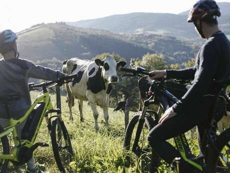 Séjour 2 jours - Week-end à la ferme en hébergement insolite