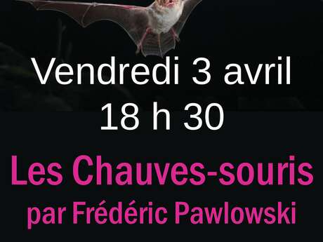 Conférence "Les chauves-souris"