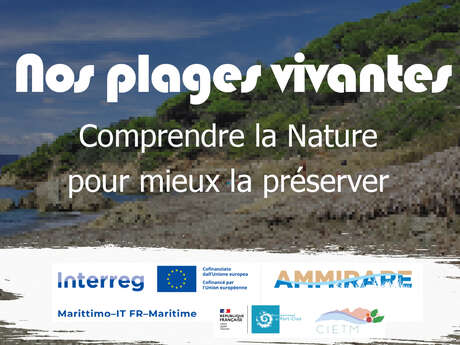 Porquerolles : balade nature à la découverte des paysages du littoral