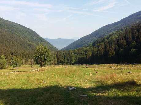 Prenez de la hauteur et admirez!