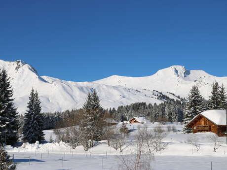 Les Terrasses du Mont Blanc - 47 m² - n°642